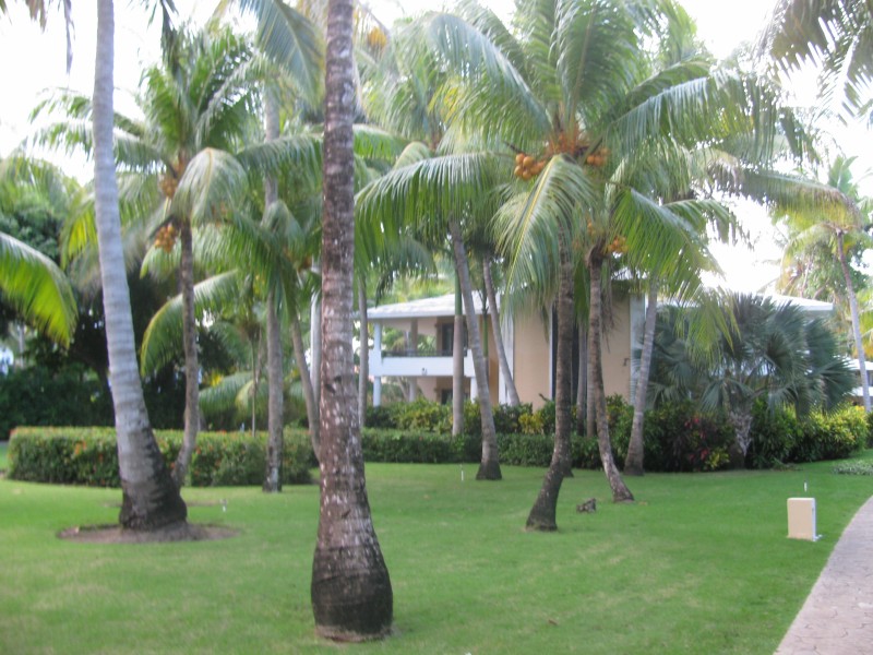 Dominican Republic 553.jpg